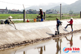 Hơn 370 hộ nuôi tôm Kỳ Anh tất bật cho vụ mới