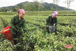 Hà Tĩnh tôn vinh công nhân tiêu biểu, doanh nghiệp vì lao động