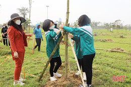 Giáo viên, học sinh trồng cây, chung tay phủ xanh thành phố