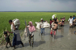 Malaysia lo ngại IS tuyển mộ người tị nạn Hồi giáo Rohingya