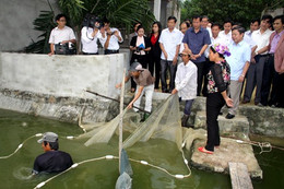 Thiên Lộc cần củng cố các tiêu chí NTM đảm bảo tính bền vững