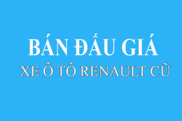 Bán ô tô con, nhãn hiệu RENAULT (5 chỗ ngồi, năm 2014)