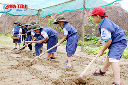 PHOTO: “Một ngày làm nông” tại Edufarm Tượng Sơn