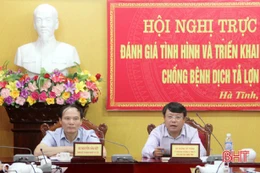 Hà Tĩnh không chủ quan, lơ là và tiếp tục ứng phó dịch tả lợn Châu Phi