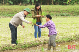 Nông dân Đức Thọ đồng loạt ra đồng, gieo cấy lúa xuân kịp thời vụ