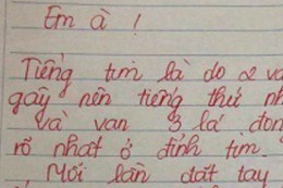 5 bức thư tỏ tình "chất nhất Việt Nam"