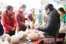 Thỏa sức mua các loại hải sản ngon có tiếng Hà Tĩnh ăn Tết