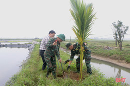 Trồng thêm gần 500 cây dừa xiêm tại khu sinh thái Đồng Ghè