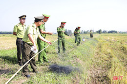 Đức Thọ tiêu hủy hàng ngàn dụng cụ bẫy chim hoang dã