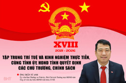 Tập trung trí tuệ và kinh nghiệm thực tiễn, cùng Tỉnh ủy, HĐND tỉnh quyết định các chủ trương, chính sách