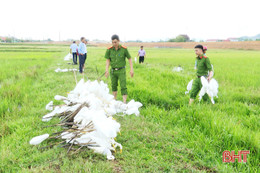 Đức Thọ tiêu hủy hàng trăm con cò giả làm mồi nhử săn bắt chim trời