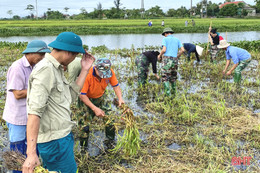 Trồng 10.000 cây tràm làm đẹp cảnh quan TP Hà Tĩnh