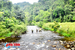 Tiếng gọi đại ngàn