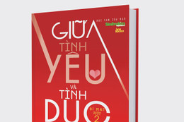 Giữa tình yêu và tình dục là tình gì?