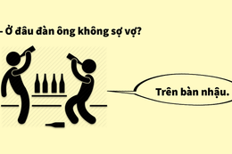 Những câu trả lời đúng như... "chân lý"