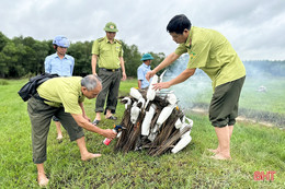 Mới đầu mùa, hàng ngàn bẫy chim trời đã giăng khắp nơi