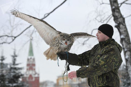 Đội ngũ lông vũ "tinh nhuệ" bảo vệ Điện Kremlin