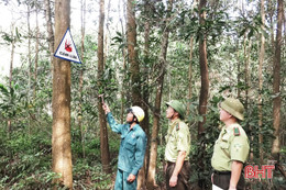 Người dân Đức Thọ “lấy phòng là chính” trong bảo vệ rừng mùa nắng nóng