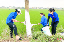 Đoàn viên thanh niên Hà Tĩnh hưởng ứng “Ngày Chủ nhật xanh”