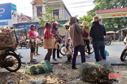 Đến hẹn, chim trời lại bày bán la liệt ở chợ quê Hà Tĩnh