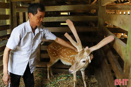 Chính sách “tam nông” - đòn bẩy thúc đẩy nông dân làm ăn lớn