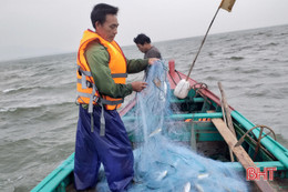 Biển lặng, cá nhiều, ngư dân Hà Tĩnh ăn cơm trên thuyền tranh thủ ra khơi