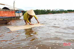 Lý giải nguyên nhân nước sông La ở Hà Tĩnh chuyển màu đỏ đục