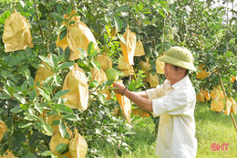 Kết nạp Đảng trong quân ngũ, bí thư chi bộ đưa thôn “rốn lũ” trở thành khu dân cư kiểu mẫu ở Hà Tĩnh