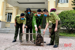 Bảo vệ động vật hoang dã từ ý thức của mỗi người dân Hà Tĩnh