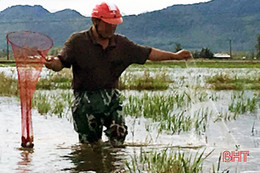 Thả lưới bắt cá trong mưa, một người đàn ông tử vong