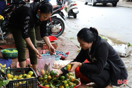 Giá cam Hà Tĩnh tăng cao, sức mua còn thấp