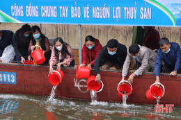 Thả hơn 1,7 tấn cá giống xuống hồ Ngàn Trươi