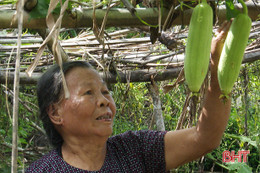 “Được hỗ trợ rồi, tôi không muốn ỷ lại vào chính sách của Nhà nước nữa”