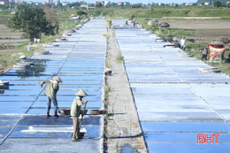 Nôn nao tiếng hè