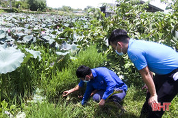 Triển vọng từ mô hình nuôi ốc bươu đen ở Đức Thọ