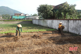 Hà Tĩnh đề xuất Bộ NN&PTNT hỗ trợ 3 tỷ đồng mua hạt giống