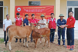 Hội Chữ thập đỏ trao 20 con bò, bê cho hộ nghèo Hương Sơn