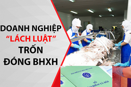 Tăng cường thanh tra đột xuất, BHXH Hà Tĩnh thu hồi 2,54 tỷ đồng tiền nợ