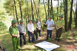 Các địa phương, đơn vị tiếp tục tập trung cao phòng chống cháy rừng