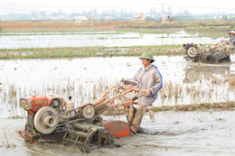 Thúc đẩy phong trào cơ giới hóa trong sản xuất nông nghiệp