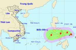 Chủ động ứng phó với bão Kai-tak