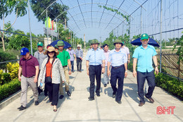 Chánh Văn phòng NTM Trung ương: Hà Tĩnh làm bài bản, có chiều sâu, rất hiệu quả!