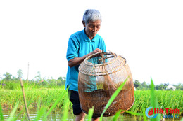 Photo: Thú vui đặt đó, buông câu ở các vùng nông thôn Hà Tĩnh