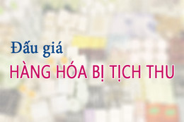 Đấu giá 2 lô hàng vi phạm hành chính tịch thu