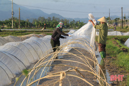 Dự báo thời tiết Hà Tĩnh ngày 30/12: Trời rét sáng sớm và đêm, trưa hửng nắng