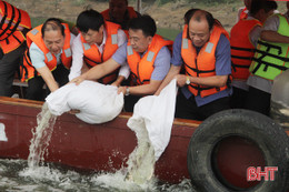 Phóng sinh hơn 1 tấn cá xuống hồ Ngàn Trươi - Hà Tĩnh 