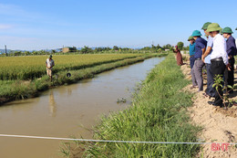 Cẩm Xuyên nỗ lực phát triển nông nghiệp hữu cơ tuần hoàn