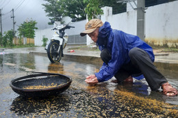 Hà Tĩnh sắp có mưa rào và dông, bà con lưu ý việc thu hoạch lúa