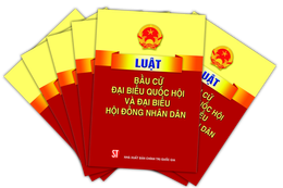 Người có hành vi vi phạm pháp luật về bầu cử bị xử lý như thế nào?