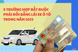 9 trường hợp bắt buộc phải đổi giấy phép lái xe trong năm 2023